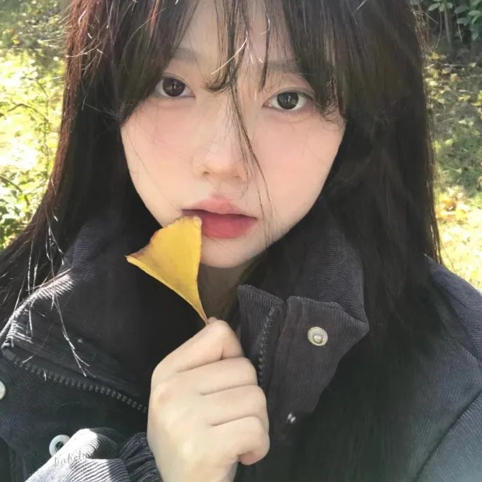 雨霖铃 在线观看